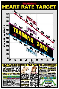 Expert Leisure | Fitness Testing | Fitness Graphs